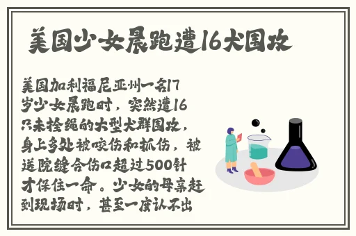 蜜臀久久99精品久久久久久小说